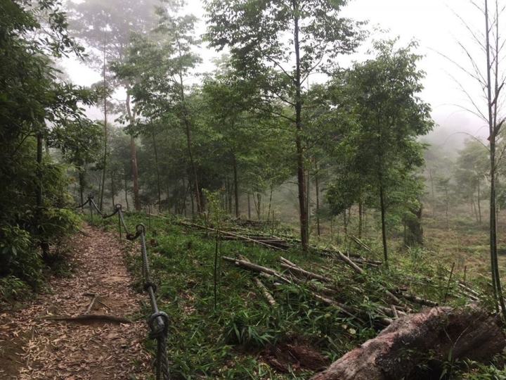 1070521 水社大山全紀錄