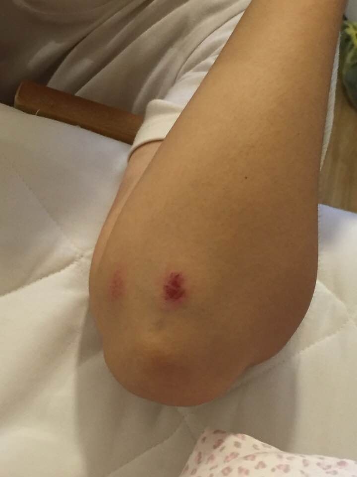 騎腳踏車環島Part 2 到底又爆胎了沒? 桃園市區<->新竹市區