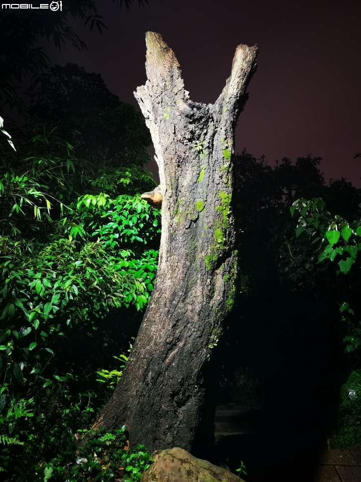 P20 Pro 手機拍照試用