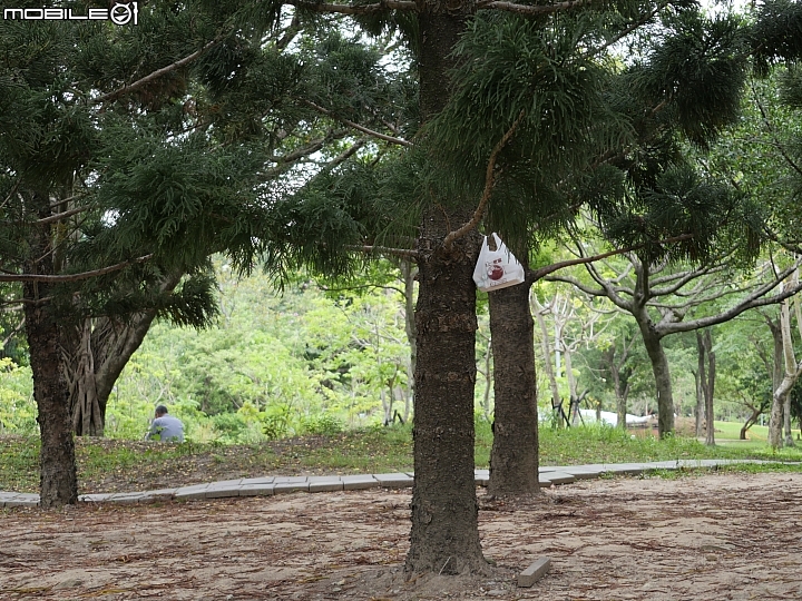 Panasonic Lumix GX9 公園一景 200mm ISO200 f/2.8 1/250s Panasonic Lumix GX9 公園一景 200mm ISO200 f/2.8 1/250s