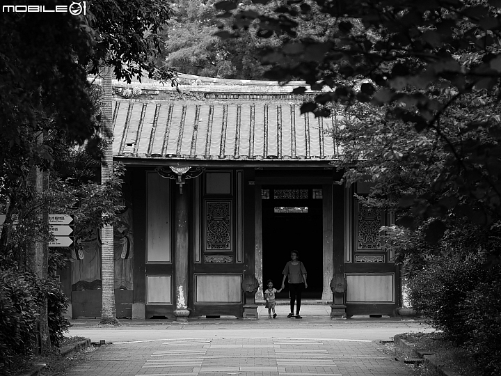 Panasonic Lumix GX9 黑白色調,親子牽手,76mm ISO200 f/5.0 1/320s Panasonic Lumix GX9 黑白色調,親子牽手,76mm ISO200 f/5.0 1/320s