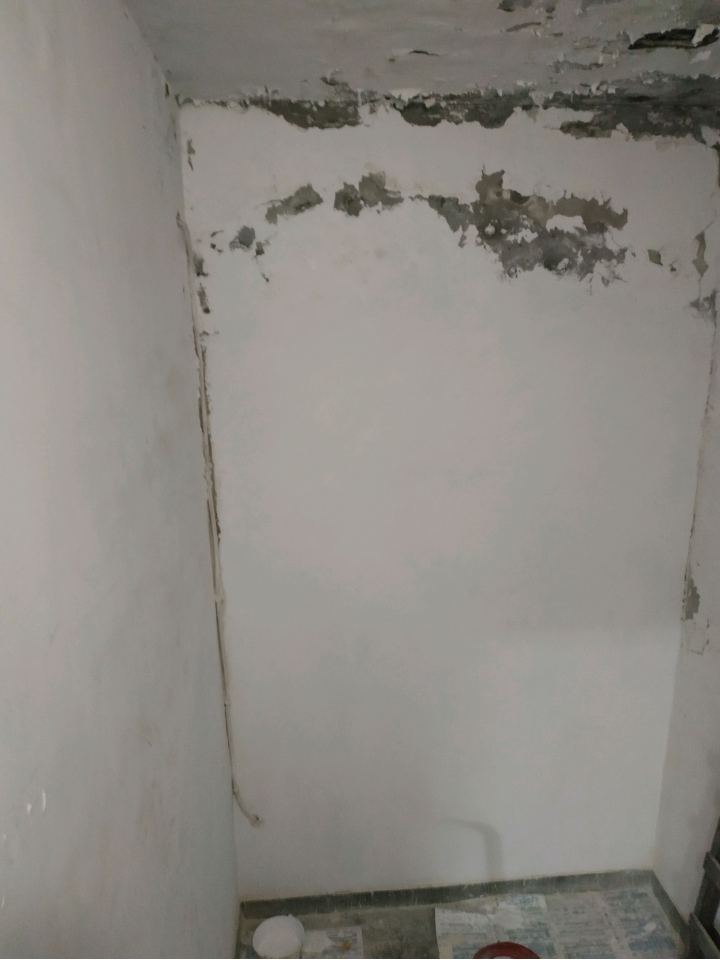 樂土壁癌處理DIY(完工)