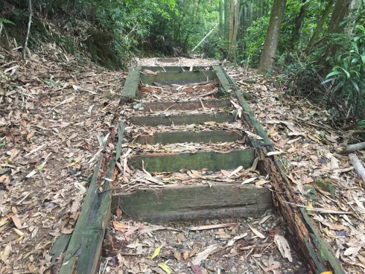 1070521 水社大山全紀錄