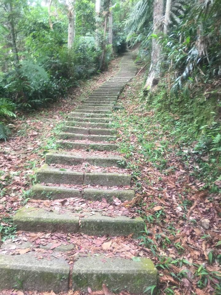 1070521 水社大山全紀錄
