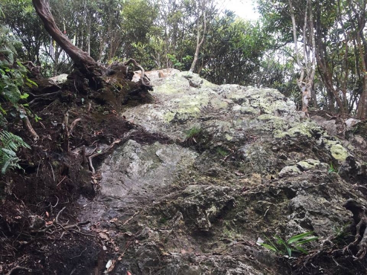 1070521 水社大山全紀錄