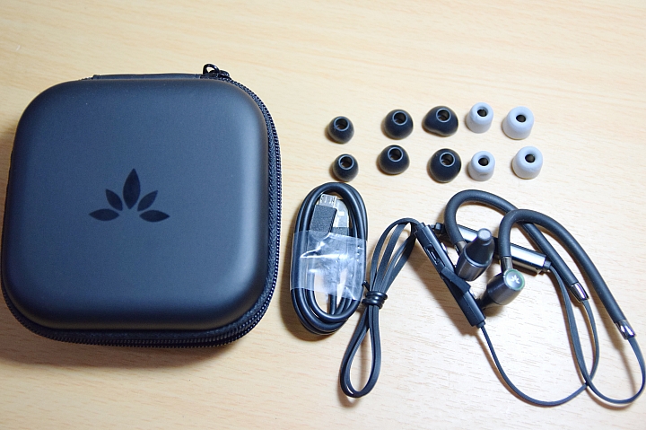 開箱 體驗 攜帶好方便 超值雙單體 Avantree AS20藍牙耳機