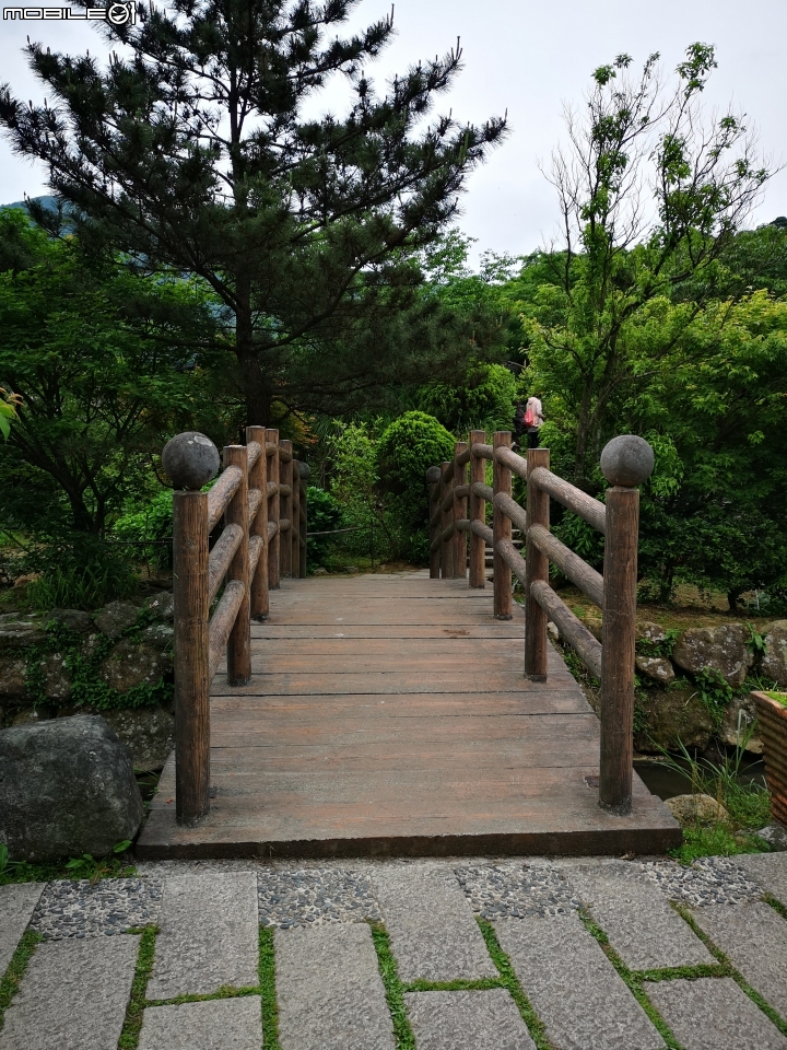 P20 Pro 手機拍照試用
