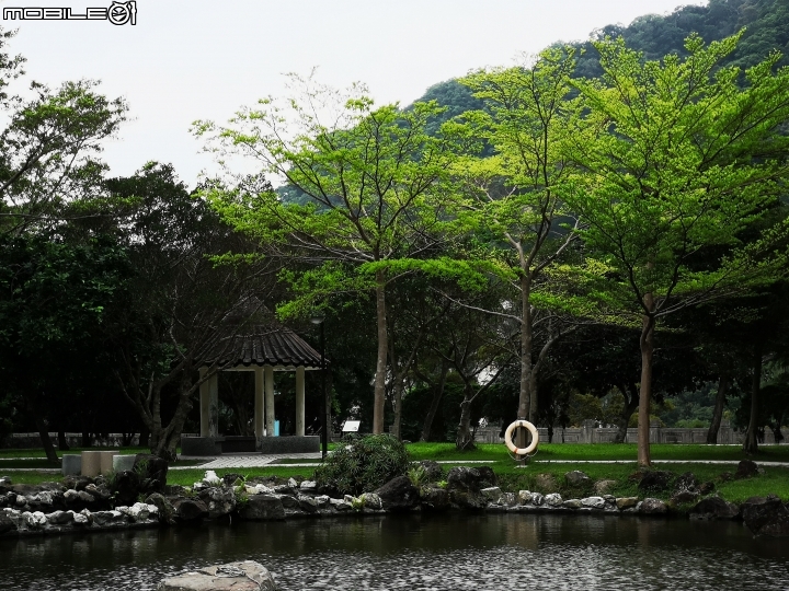 P20 Pro 手機拍照試用