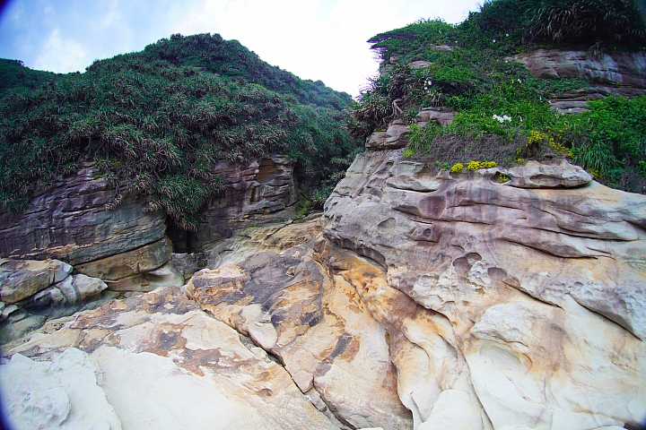 Lomography《Naiad 15mm》前鏡頭實測 拍攝樣本 Lomography《Naiad 15mm》前鏡頭實測 拍攝樣本