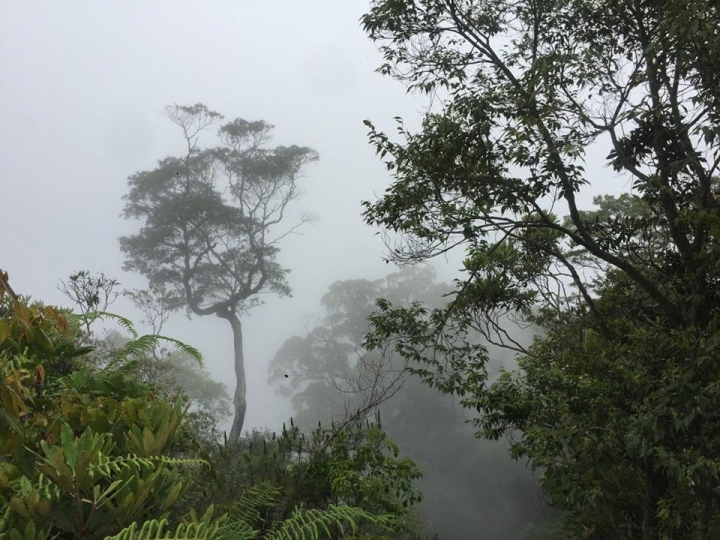 1070521 水社大山全紀錄