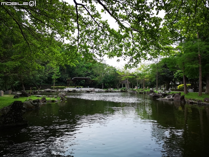 P20 Pro 手機拍照試用