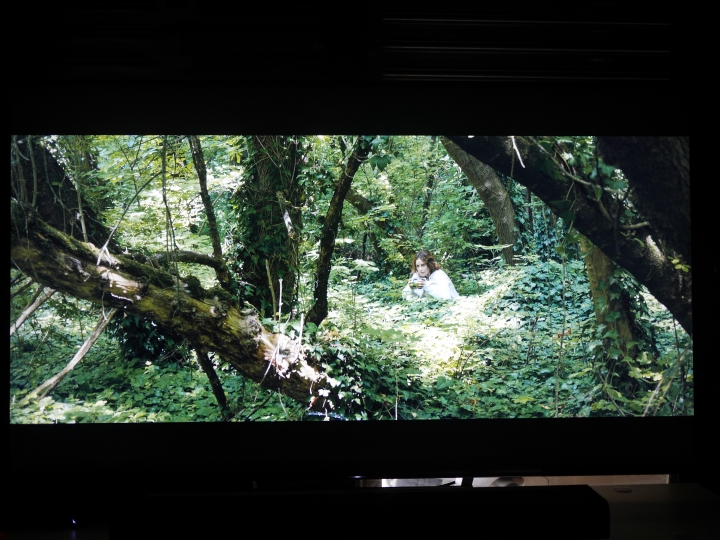 【賭上人品的一淘 美國篇】空運來台 SONY 65X930E 心臟大顆開箱分享
