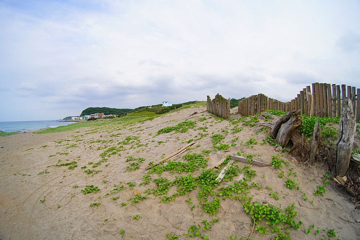 Lomography《Naiad 15mm》前鏡頭實測 拍攝樣本 Lomography《Naiad 15mm》前鏡頭實測 拍攝樣本