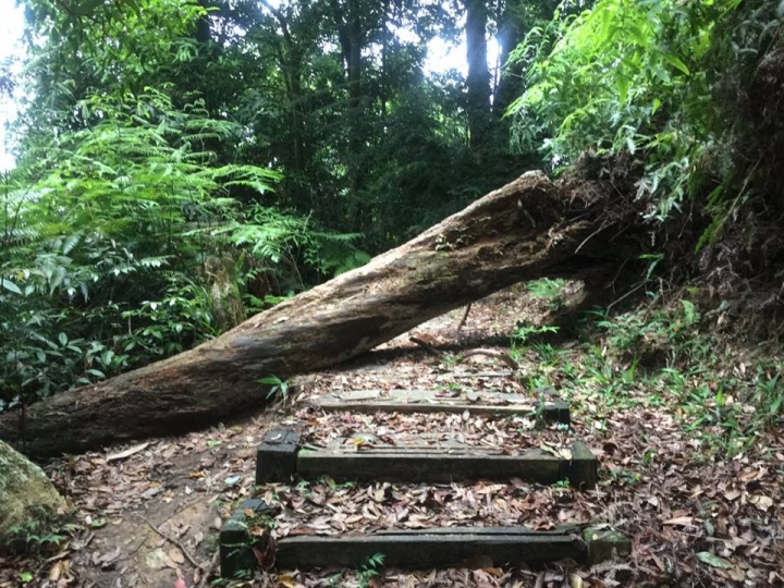 1070521 水社大山全紀錄