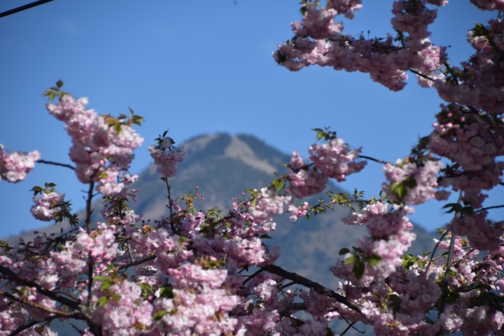 4/17~4/26 的五湖四海夢幻山湖之旅