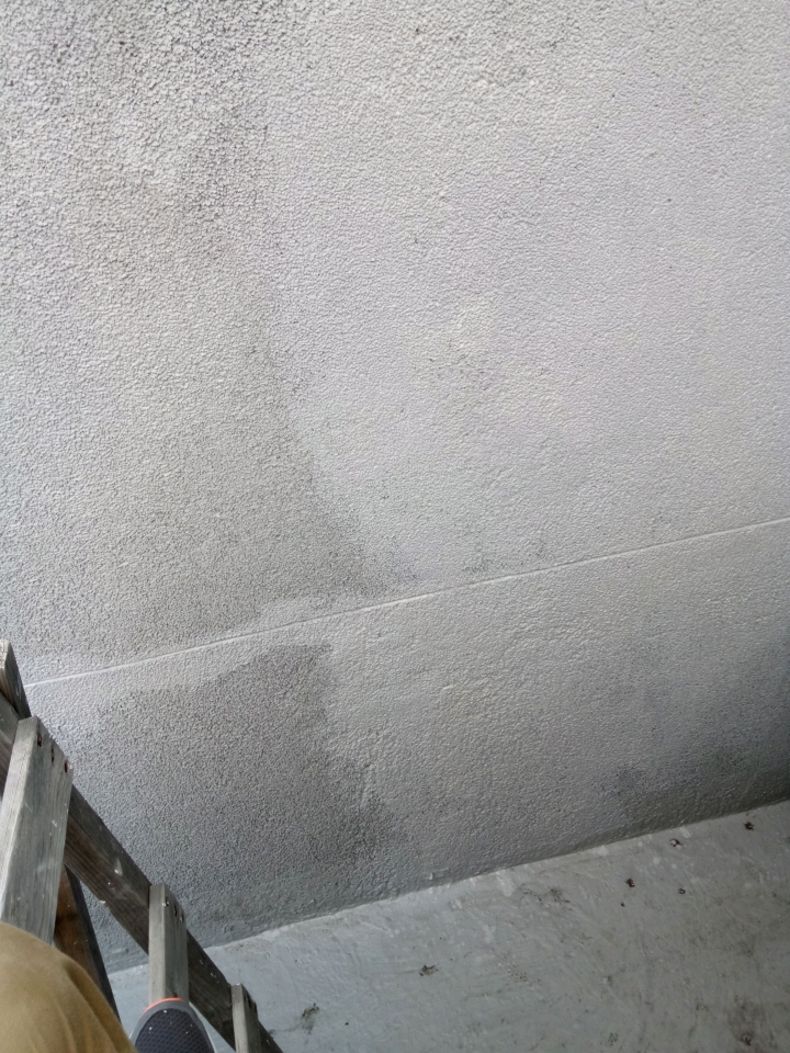 樂土壁癌處理DIY(完工)
