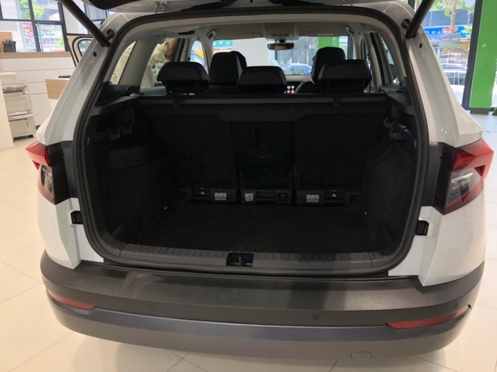 SKODA KAROQ賞車心得