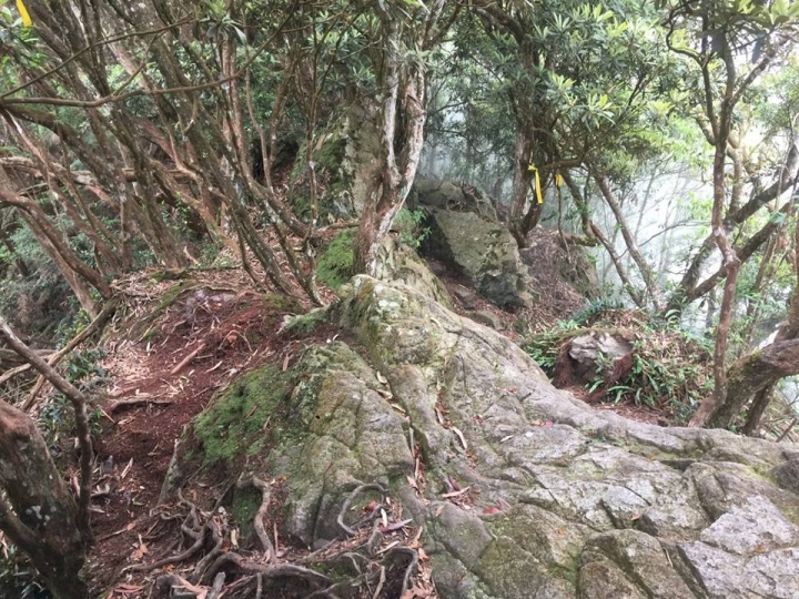 1070521 水社大山全紀錄