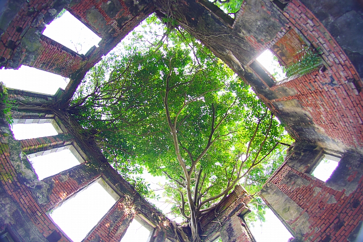 Lomography《Naiad 15mm》前鏡頭實測 無法克服的缺陷美 Lomography《Naiad 15mm》前鏡頭實測 無法克服的缺陷美