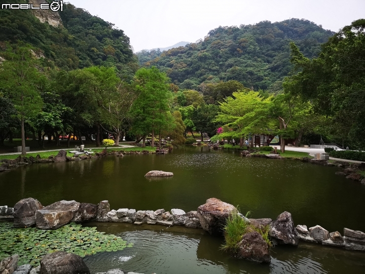 P20 Pro 手機拍照試用