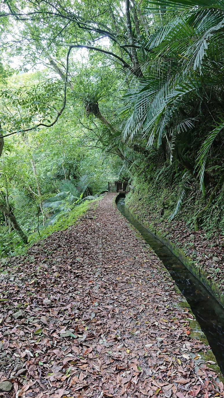 路況全紀錄 台九甲-北107 烏來信賢步道 福山古圳步道.蝴蝶公園