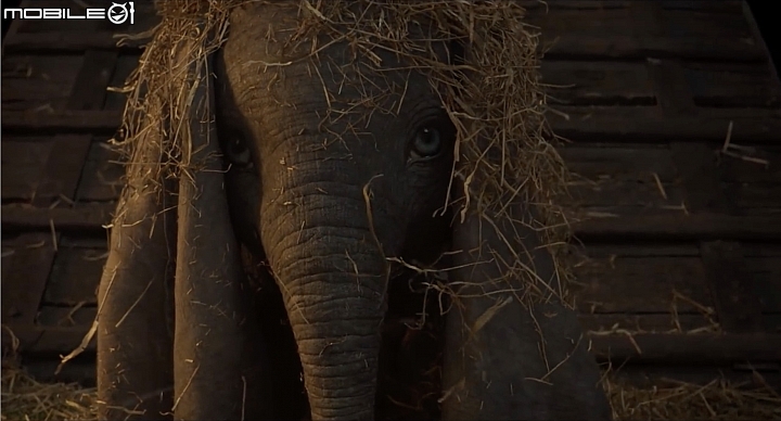 《小飛象 Dumbo》釋出首支前導預告 童年經典真”象“翱翔! 《小飛象 Dumbo》釋出首支前導預告 童年經典真”象“翱翔!