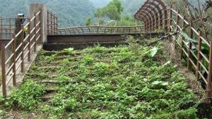 新北市政府擺爛的烏來瀑布公園?朱立倫市長不用好好去維護管理!?