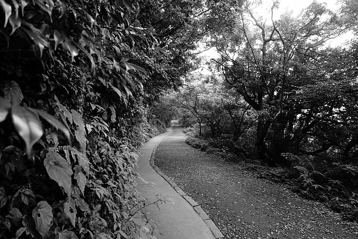 Sony Cyber-Shot RX100M6‧拍攝樣本 Sony Cyber-Shot RX100M6‧拍攝樣本