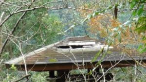 新北市政府擺爛的烏來瀑布公園?朱立倫市長不用好好去維護管理!?