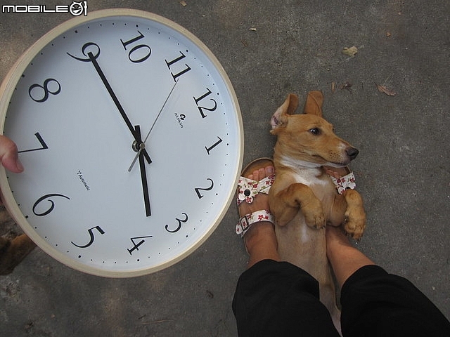 開箱~台灣第一品牌【"★法詩★計時電波鐘 (自動對時)"AW-702】~嵌合現代人的生活脈絡且精準報時。