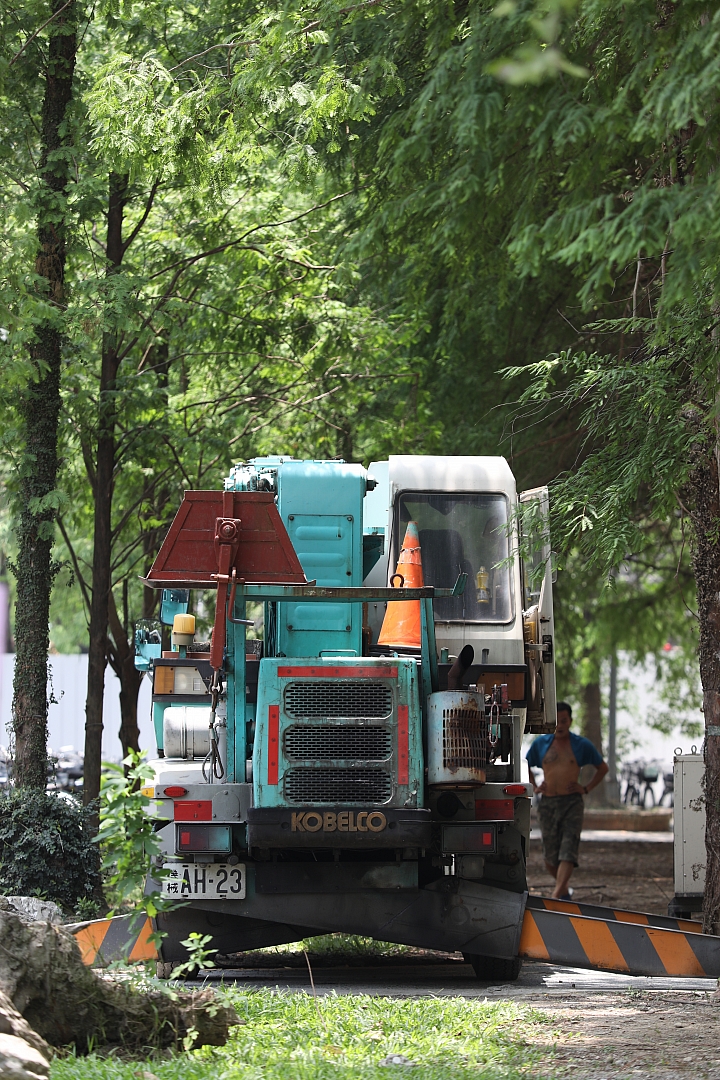 Canon 5D Mark IV + EF 70-200mm f/4L IS II USM 拍攝樣本 Canon 5D Mark IV + EF 70-200mm f/4L IS II USM 拍攝樣本