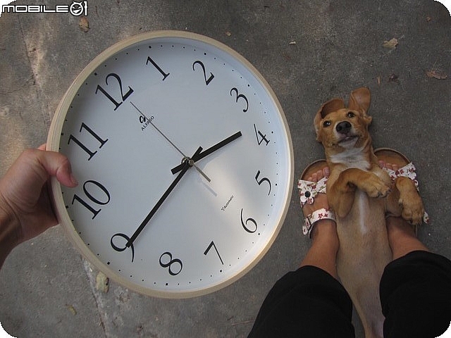 開箱~台灣第一品牌【"★法詩★計時電波鐘 (自動對時)"AW-702】~嵌合現代人的生活脈絡且精準報時。