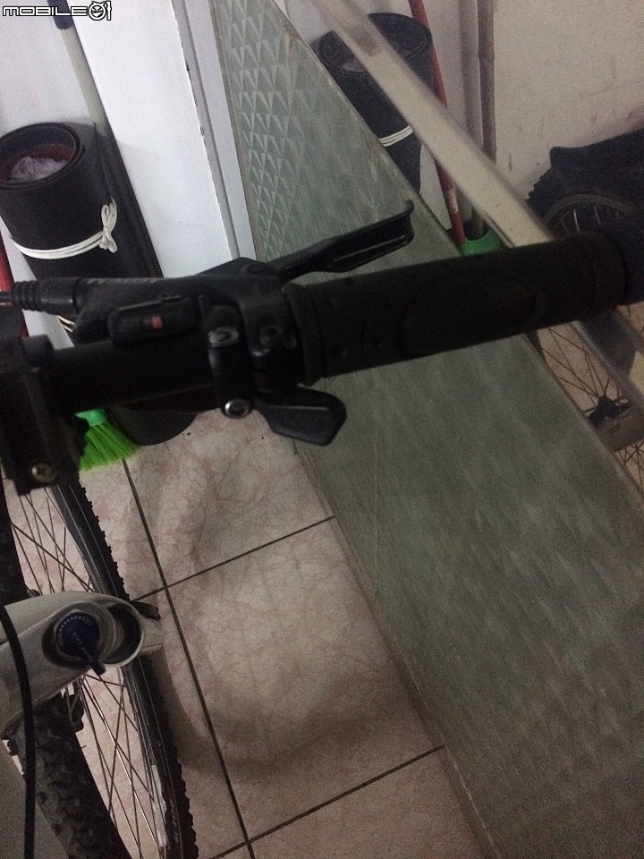 新手,單車異音求解+單車型號(捷安特)
