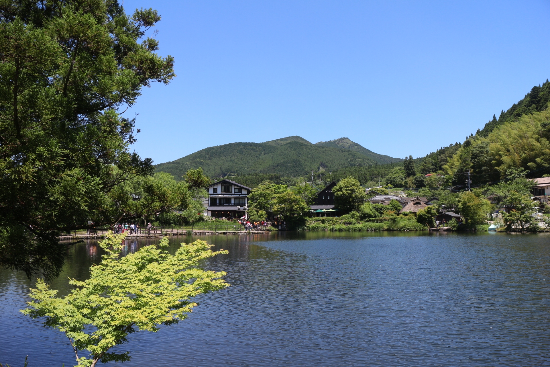 日規Eclipse Cross租車自駕遊記:夢幻金鱗湖-->日本夏威夷-->熊本城
