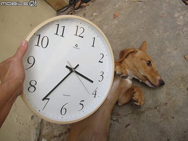 開箱~台灣第一品牌【"★法詩★計時電波鐘 (自動對時)"AW-702】~嵌合現代人的生活脈絡且精準報時。