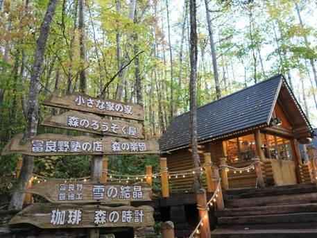 帶著公婆去旅行─太平洋旅行社