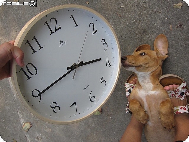 開箱~台灣第一品牌【"★法詩★計時電波鐘 (自動對時)"AW-702】~嵌合現代人的生活脈絡且精準報時。