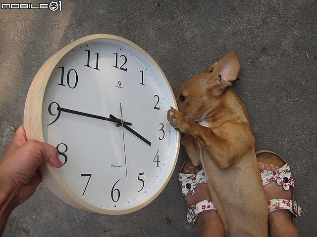 開箱~台灣第一品牌【"★法詩★計時電波鐘 (自動對時)"AW-702】~嵌合現代人的生活脈絡且精準報時。