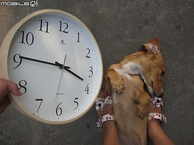 開箱~台灣第一品牌【"★法詩★計時電波鐘 (自動對時)"AW-702】~嵌合現代人的生活脈絡且精準報時。