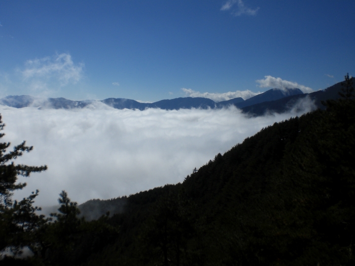 回憶~風災前的南橫埡口風景