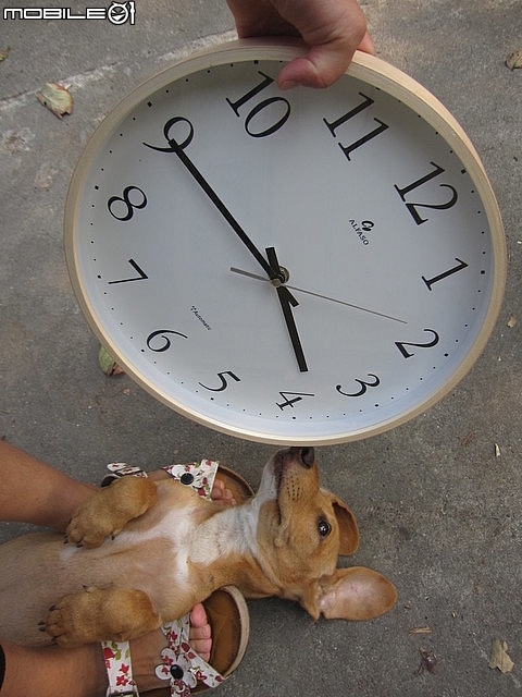 開箱~台灣第一品牌【"★法詩★計時電波鐘 (自動對時)"AW-702】~嵌合現代人的生活脈絡且精準報時。