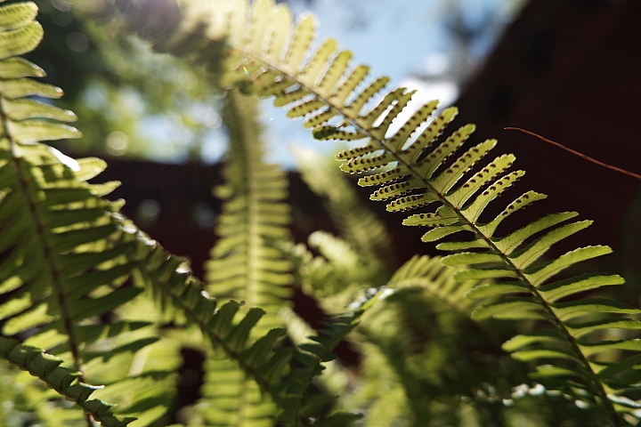 Fujifilm X-T100 + XC15-45mm F3.5-5.6 OIS PZ‧實拍圖 Fujifilm X-T100 + XC15-45mm F3.5-5.6 OIS PZ‧實拍圖