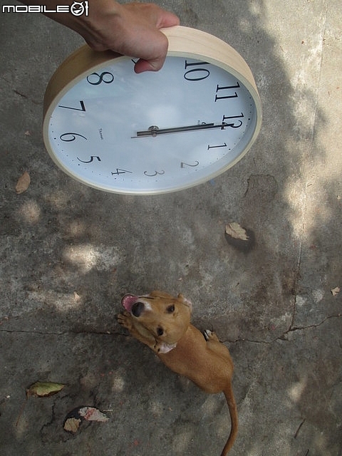 開箱~台灣第一品牌【"★法詩★計時電波鐘 (自動對時)"AW-702】~嵌合現代人的生活脈絡且精準報時。