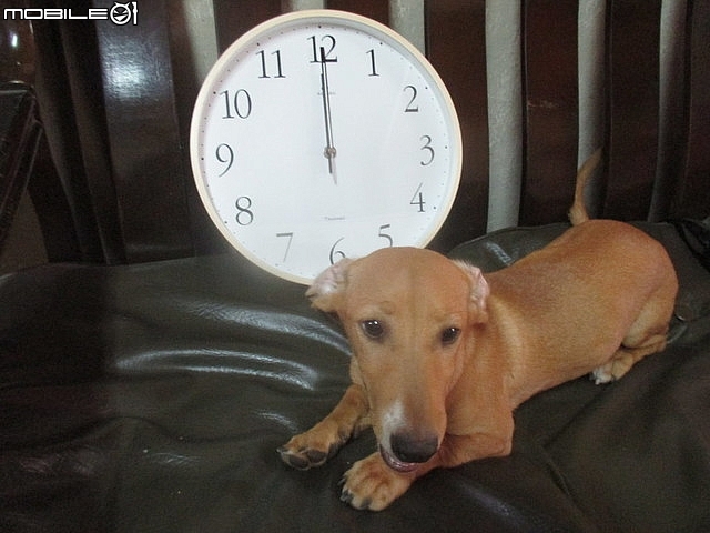 開箱~台灣第一品牌【"★法詩★計時電波鐘 (自動對時)"AW-702】~嵌合現代人的生活脈絡且精準報時。