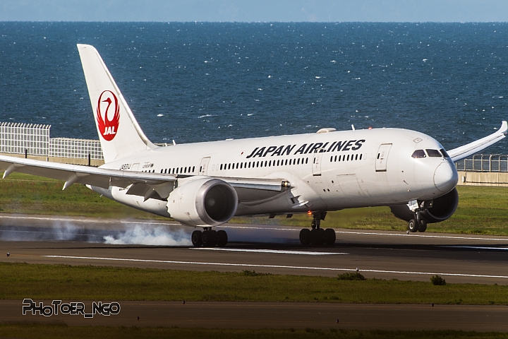 『D5300』『D750』中部國際機場、縣營名古屋機場鐵鳥記(21P+LR)