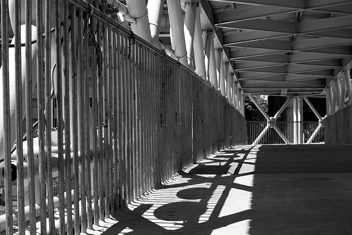 Fujifilm X-T100 + XC15-45mm F3.5-5.6 OIS PZ‧實拍圖 Fujifilm X-T100 + XC15-45mm F3.5-5.6 OIS PZ‧實拍圖