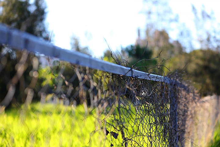Canon 5D Mark IV + EF 70-200mm f/4L IS II USM 拍攝樣本 Canon 5D Mark IV + EF 70-200mm f/4L IS II USM 拍攝樣本