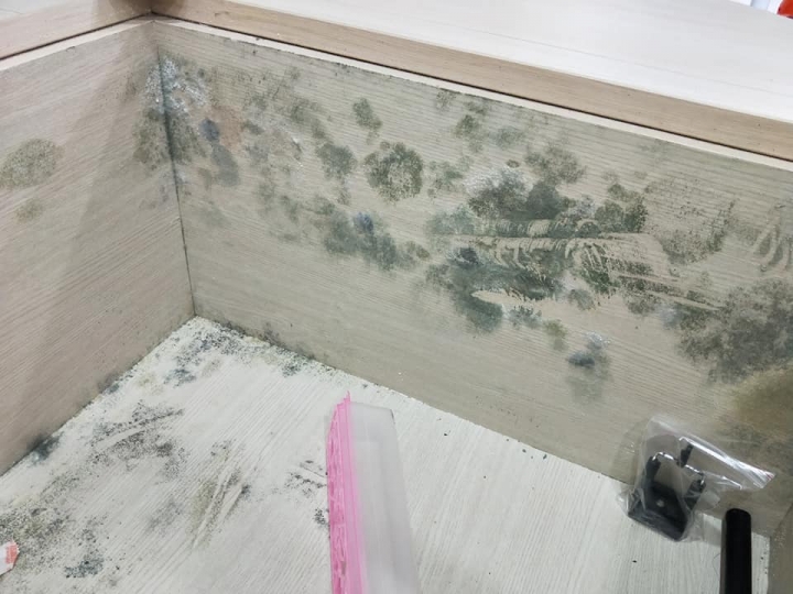 求救文~收納櫃發霉該怎麼辦?