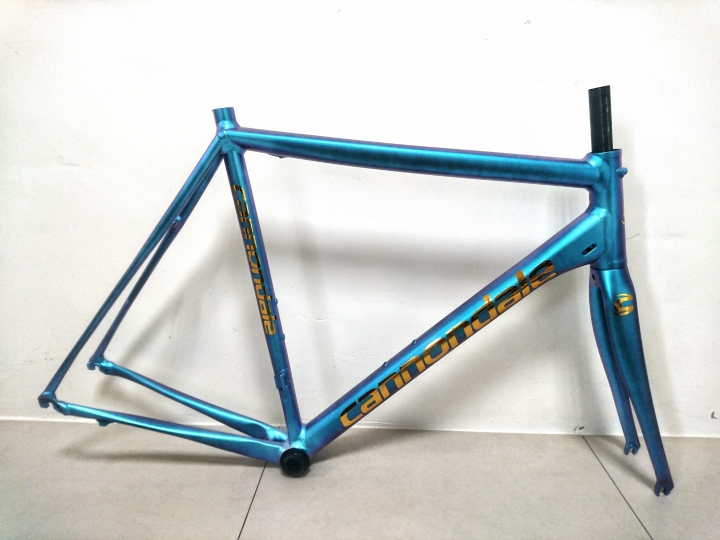 【偽開箱】 2015 Cannondale Caad 10 變色龍車架