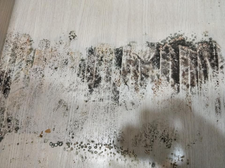 求救文~收納櫃發霉該怎麼辦?
